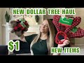 NEW DOLLAR TREE HAUL *HUGE*NEW ITEMS*BRAND NAME ITEMS*