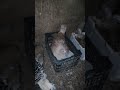 Turkey حبش Turkey حبش