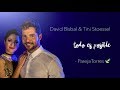 Todo Es Posible - David Bisbal y Tini Stoessel (con letra)