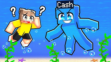 ONE COLOR CAMOUFLAGE Hide and Seek in Minecraft!