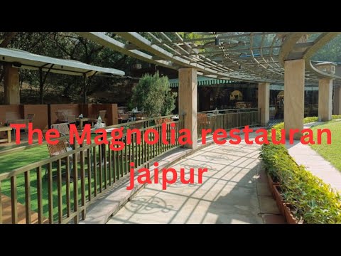 The Magnolia,Jaipur restaurant-garden theatre cafe and jungle - YouTube