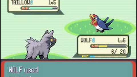 Pokemon Emerald Walkthrough Part 4:The Road to Rustboro City