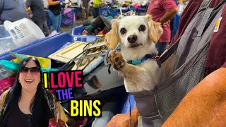 I WILL NEVER STOP GOING TO THE BINS! Another Crazy Day! #goodwill #bins #sales #resale