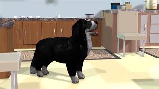 Tatra  black  sheepdog-  3D Model screenshot 4