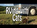 RVing with Cats: Campgrounds, Litterboxes, Leash Training, Vet Care & Pet Monitoring