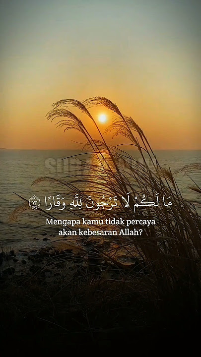 murottal merdu surat NUH #ara_channel #murottalmerdu #nuh