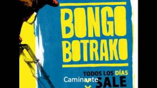 Video thumbnail of "Caminante - Bongo Botrako"