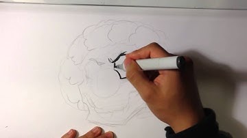 How to Draw a Clown Skull - Skull Drawings