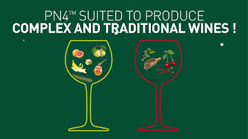 Malolactic fermentation :  use the wine bacteria PN4™ for complex and traditional wines