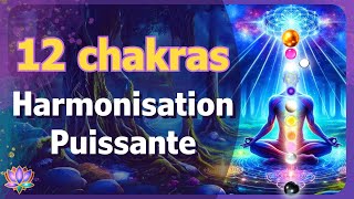 40 MIN 💫 HARMONISATION PUISSANTE des 12 CHAKRAS 💫 Méditation Soin de Lumière 🎧 Chakras harmonisation