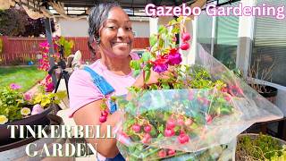 Planting Fun Summer Plants & Containers under my Patio Gazebo | DIY Outdoor Living Makeover