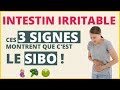 Intestin irritable ou sibo  3 signes pour savoir si vous avez le sibo