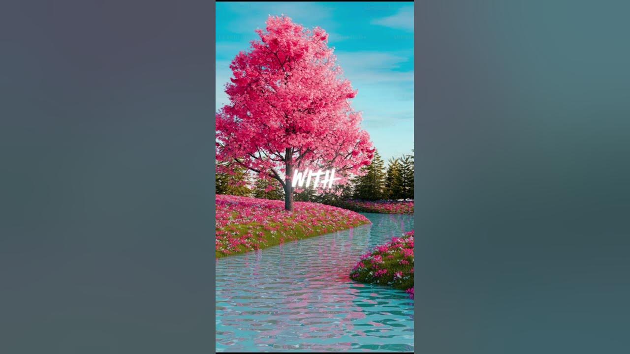 (Dusty Bible) By Josiah Queen #music #edit #lyrics #song #fyp #shorts #chill #relatable #shortsfeed (Dusty Bible) By Josiah Queen #music #edit #lyrics #song #fyp #shorts #chill #relatable #shortsfeed