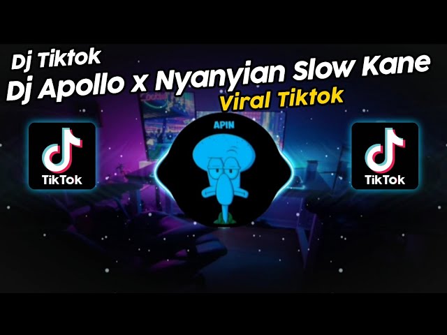 DJ APOLLO x NYANYIAN SLOW KANE DJ DANVATA VIRAL TIK TOK TERBARU 2024!! class=
