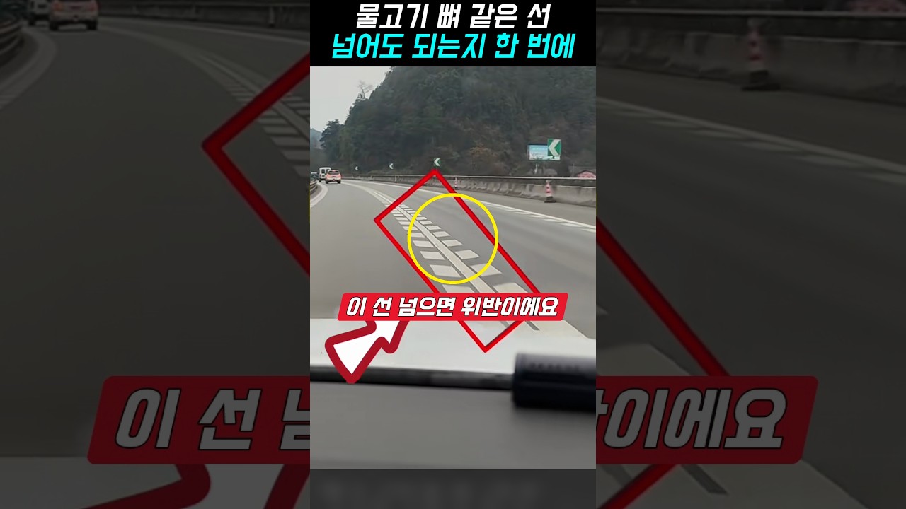 물고기 뼈 같은 선, 넘어도 될까요, 가운데 선 하나로 한 번에 구별하기