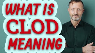 Clod | Definition of clod