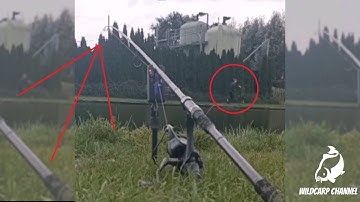 Carp Run COMPILATION 2021! PART 2!