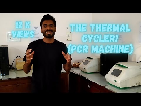 Introduction to the thermal cycler/PCR machine