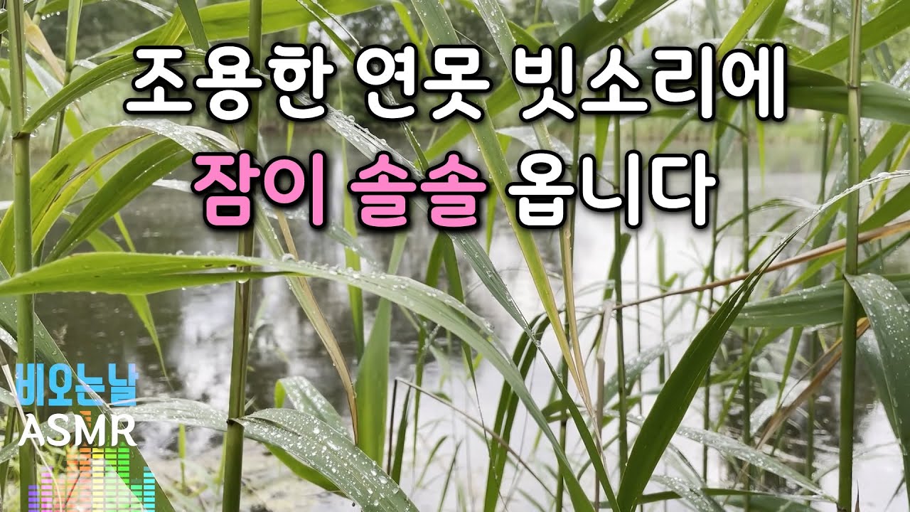 잠이 솔솔 오는 조용한 연못 빗소리/ 빗소리 자장가/ 비오는날/ 5분 후 화면꺼짐