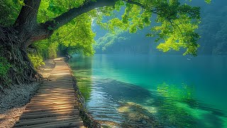 Soothing music for nerves🌿 healing music for the heart and blood vessels, relaxation by Enjoy Life 6,073 views 2 weeks ago 3 hours, 34 minutes