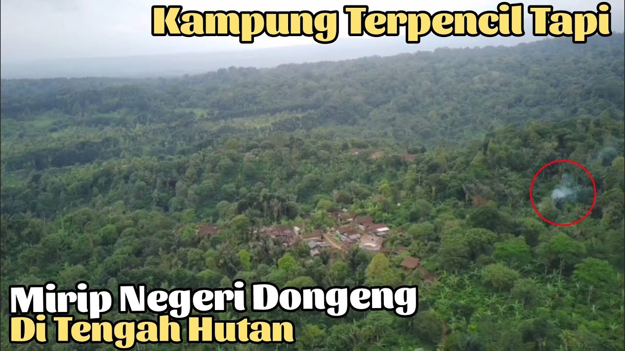 Sangat Menakjubkan!! Mengunjungi Kampung diatas awan yg menjadi HABITAT MACAN di Hutan Banyuwangi