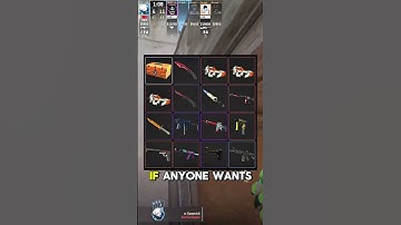 "😩 Goodbye to CS2 — passing my collection to someone who cares