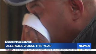 Suffering from allergies? You're not alone