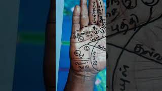 ஆறு முக்கியகுறிப்புகள் Palmistry and six points