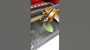 Impressão laser feita até na folha!