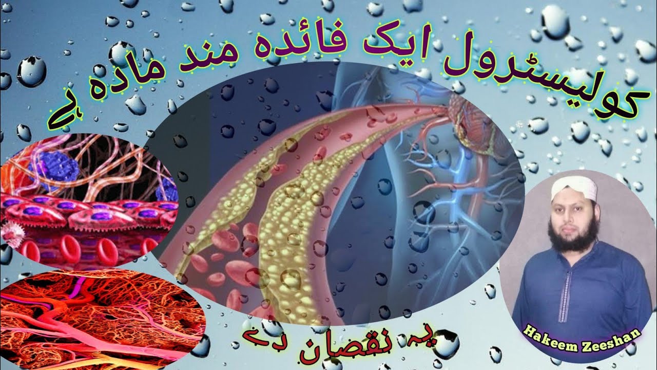 cholesterol good or bad YouTube