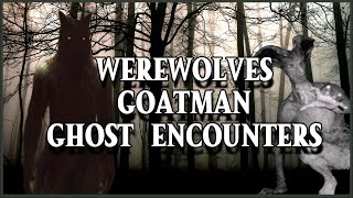 Dogman, Goatman, Ghost Encounters w/ Rachel Brand [EP309]