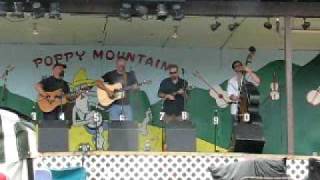 If I lose - The Woodpickers at Poppy Mountain