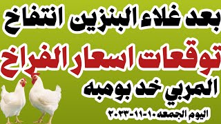 اسعار الفراخ البيضاء سعر الفراخ البيضاء اليوم الجمعه ١٠-١١-٢٠٢٣ جملة وقطاعي في المحلات في مصر
