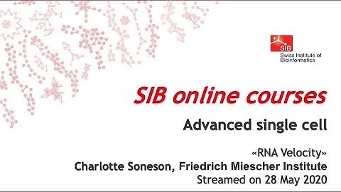 Advanced Single Cell - RNA Velocity