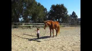 MVI_0526.avi