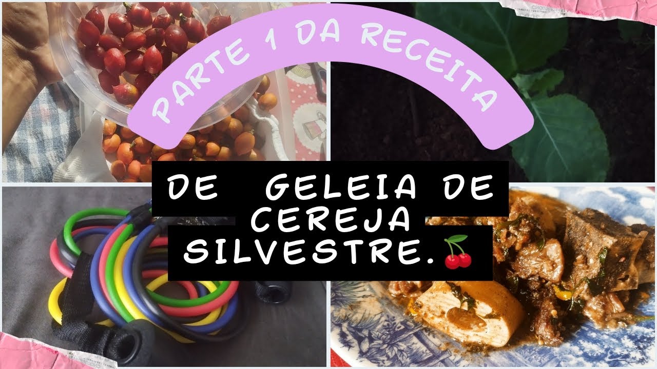 Como é o processo de fazer geleia de cereja silvestre?+dia a dia.