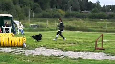 Agility Hnefoss Lybrag-cup