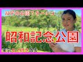 昭和記念公園。多摩湖越しに向かい合う双子の公園?を巡る。