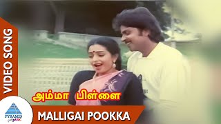 Amma Pillai Tamil Movie Songs Malligai Pookka Video Song Ramki Seetha Shankar Ganesh