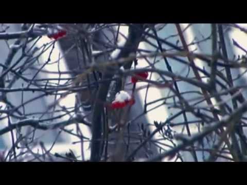 Видеоролик: Село Ыб