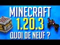 Quoi de neuf dans minecraft 1203