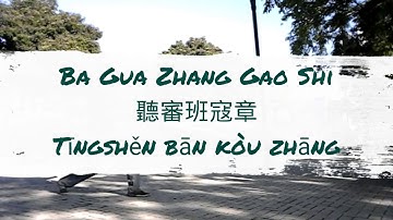 Gao Yi Sheng Ba Gua Zhang (8-.聽審班寇章 Tīng shěn bān kòu zhāng : La paume qui tire et qui accroche)