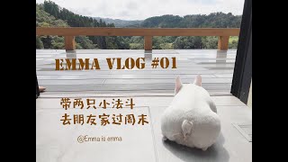 【Emma vlog #01】| 日本东京生活 | 带我的两只小法斗去朋友家过周末 |  (2019) by Emma is emma 249 views 4 years ago 9 minutes, 55 seconds