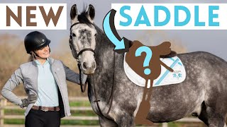 New Custom Saddle Reveal! AD | This Esme