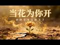 《當花為你開》｜陪你走過最難熬的那些夜晚｜佛曲· 願你終於被溫柔擁抱