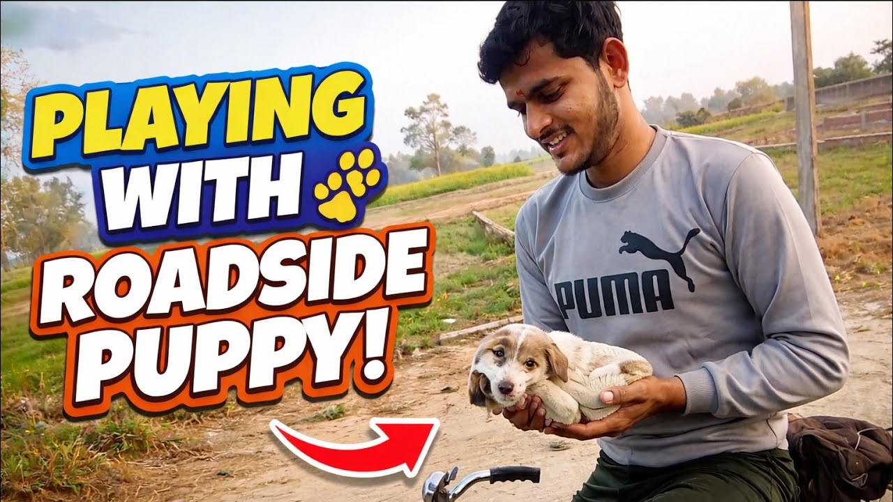 Found a Puppy on Road Side 🐶 | Playing & Fun Moments 