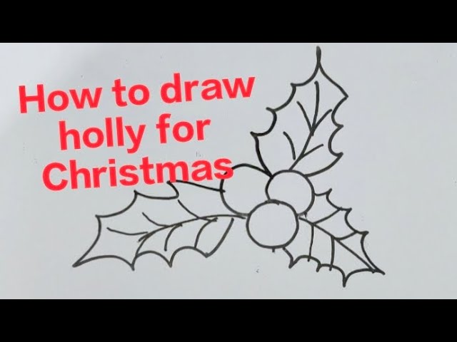 How to Draw Holly for Christmas