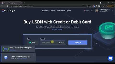 Wavesducks.com | How to buy NFT duck with credit card. Waves exchange guide.