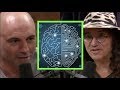 Joe Rogan & Dr. Ben Goertzel - The Fear Around Artificial Intelligence