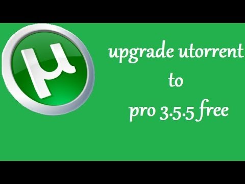 How to upgrade utorrent to pro winzip_en_64 msi download